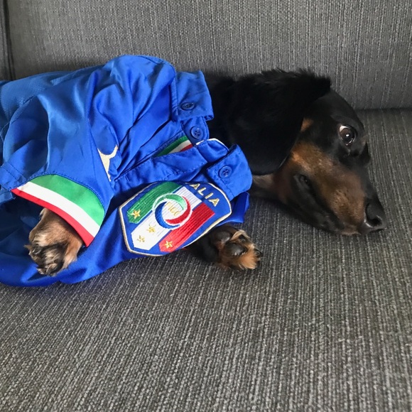 Meet your Posher, Michael - Picture 1 of 1